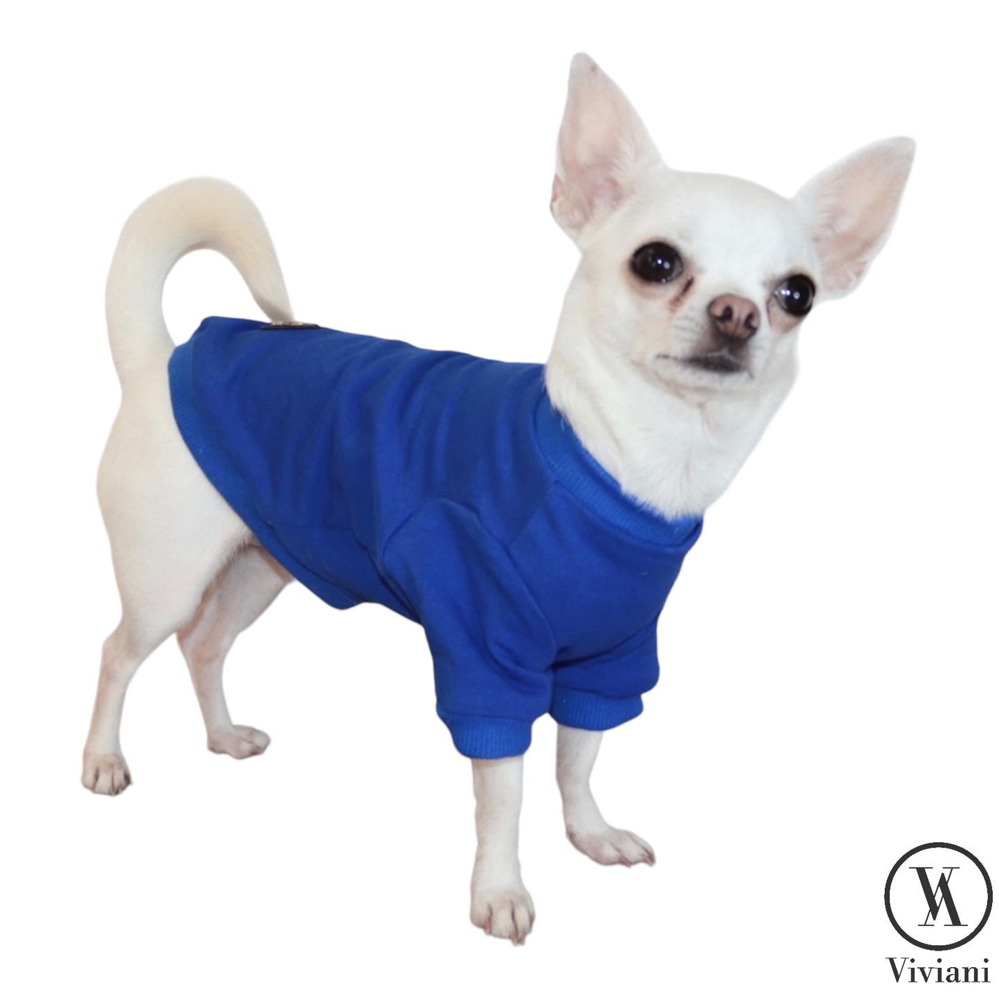 Blue dog sweatshirt