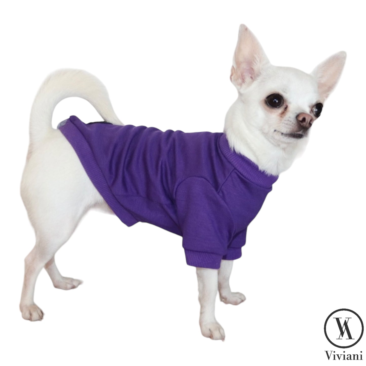 Purple dog sweatshirt